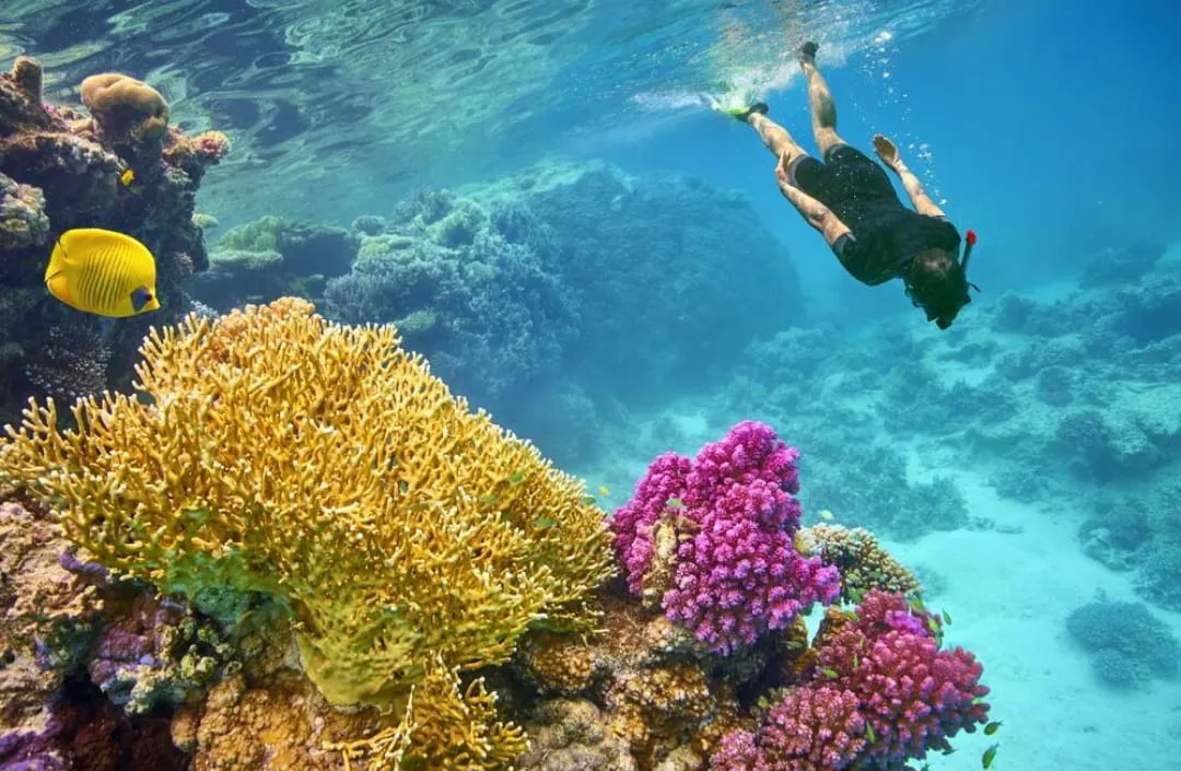 🏖️🌊 Sharm El Luli & El Qulaan Tour – Marsa Alam 🐠🌴 Sharm EL Luli /IMG-20260703-WA0015.jpg